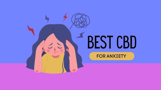 Best CBD for Anxiety