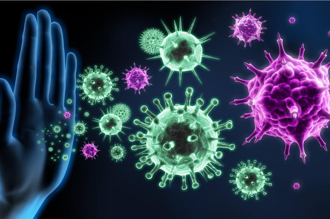 CBD and Viral Infections: An Exploration - NanoCraft