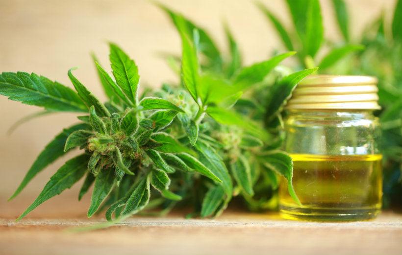 Don't Think You're Feeling CBD Oil Effects? Here's Why - NanoCraft