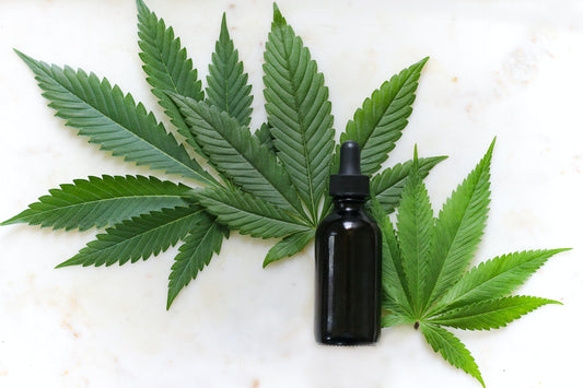 Why Boost Libido With CBD Oil?